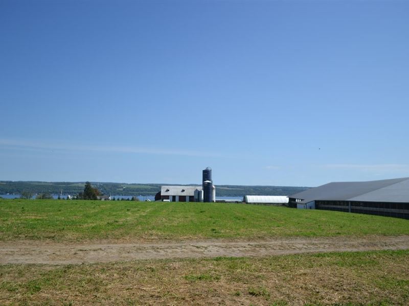 Dairy Farm, 544 Acres, Seneca Farm for Sale in Interlaken, Seneca