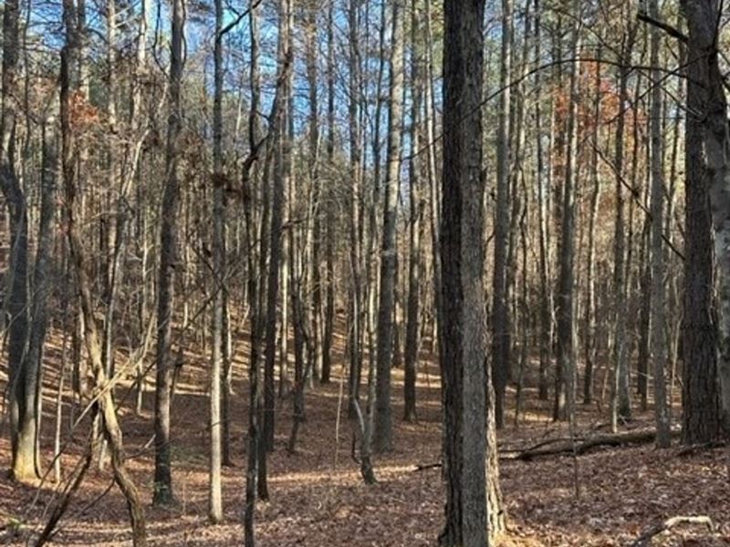 5.07 Acres Unrestricted Near Chat : Dunlap : Sequatchie County : Tennessee