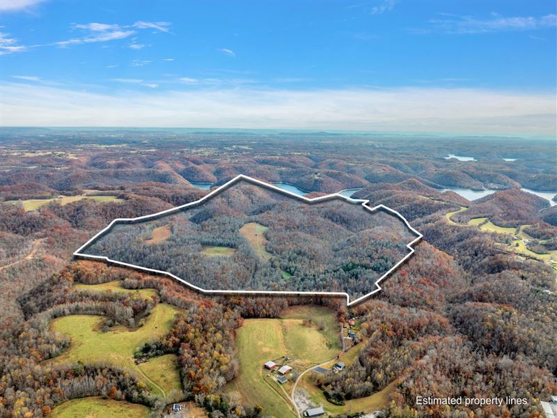 438 Acres of Pristine Hunting/Recre : Silver Point : Dekalb County : Tennessee