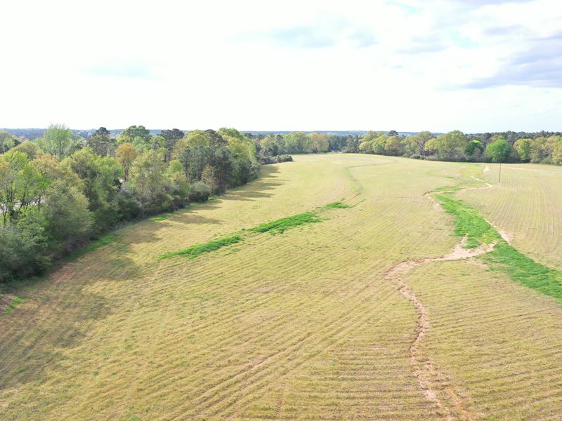 Gandy Farm 33 Ac Hwy 84, Farm for Sale in Alabama, 221745 FARMFLIP