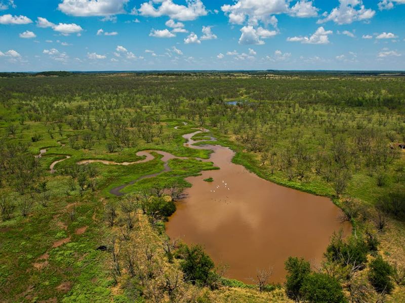 133.25 Acres of Recreational Land : Jermyn : Jack County : Texas