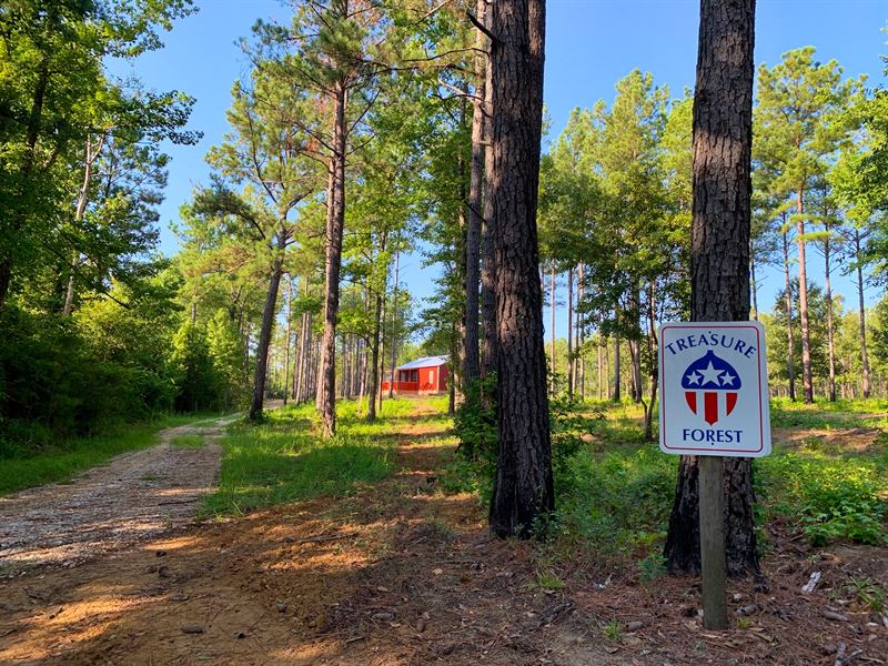 Midway, AL Hwy 51 Tract, Farm for Sale in Alabama, 221922 FARMFLIP