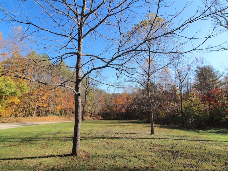 Cutler Lake Rd, 7 Acres, Farm for Sale in Ohio, 221969 FARMFLIP