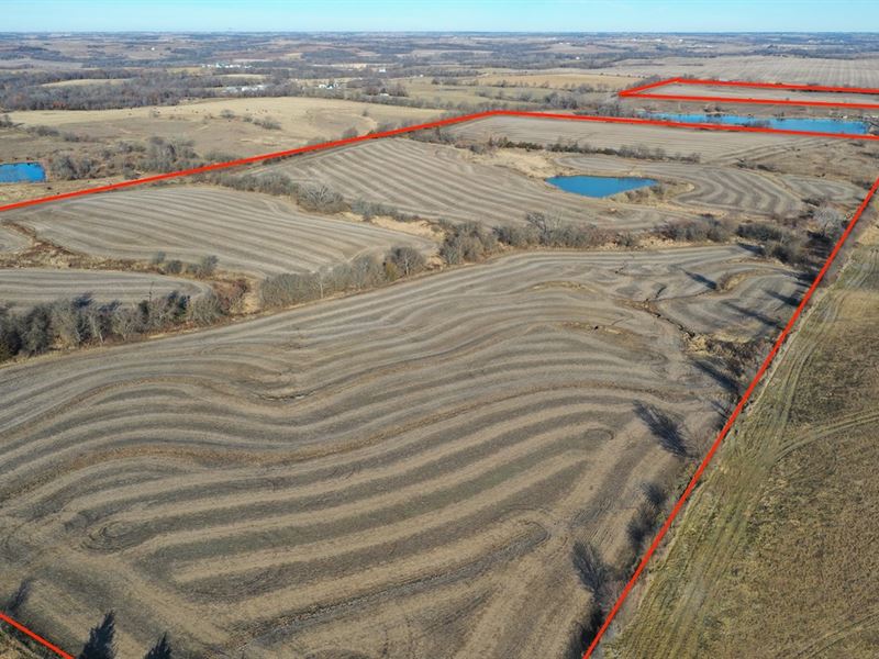 Farm Southern Iowa Ringgold County, Farm for Sale in Iowa, 222035