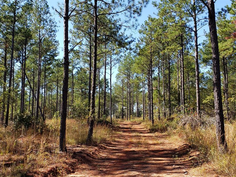 Prime Hunting & Timber Tr 3 of 3, Farm for Sale in 222204