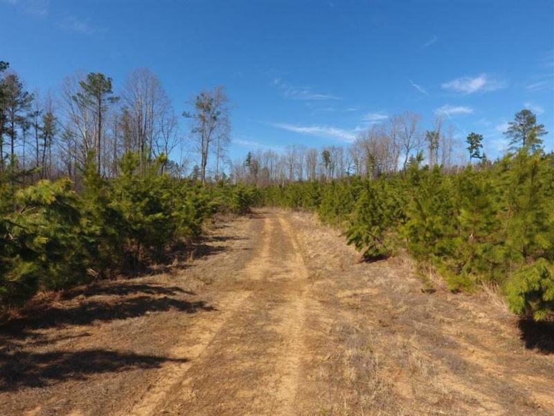 Recreational / Timber Tract Farm for Sale by Owner in Blackstone, Brunswick County, Virginia