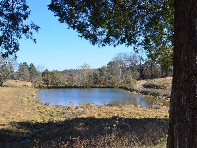 122 Acre Farm in Rogersville, TN, Farm for Sale in Tennessee, 222318