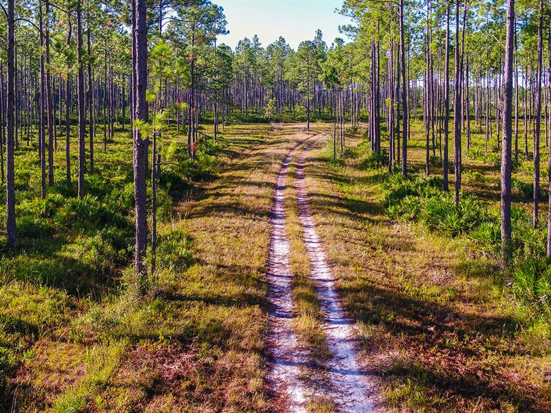 Broomsage Plantation, Farm for Sale in Florida, 222365 FARMFLIP