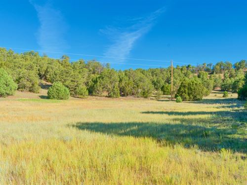 Wooded Lot Near Lake & State Park : Trinidad : Las Animas County : Colorado