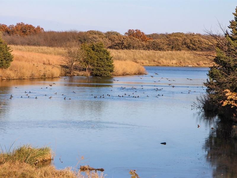 Premium Deer/Duck Hunting Property : Herington : Dickinson County : Kansas