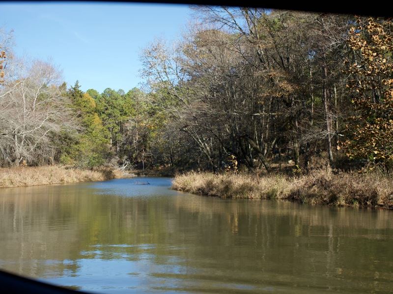 Secluded Unrestricted Kiamichi Wild : Moyers : Pushmataha County : Oklahoma