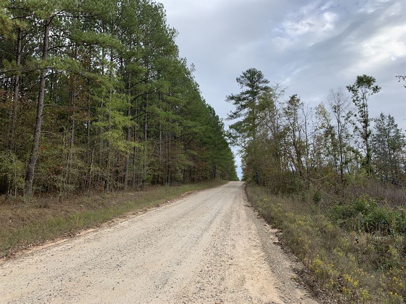 Harmony Tract B : Eatonton : Putnam County : Georgia