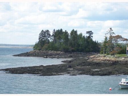 Big Ripley Island : Harrington : Washington County : Maine