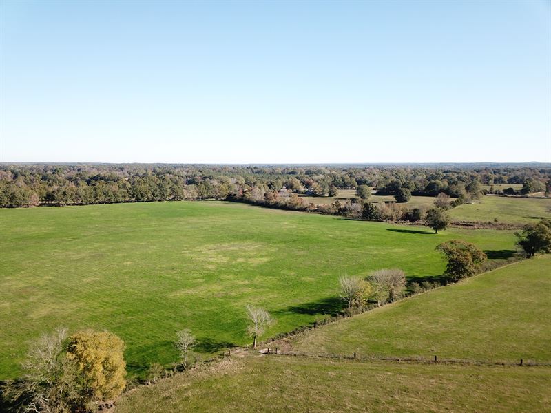 Davis Farm, Briar Hill, 760 Acres, Farm for Sale in Alabama, 222805