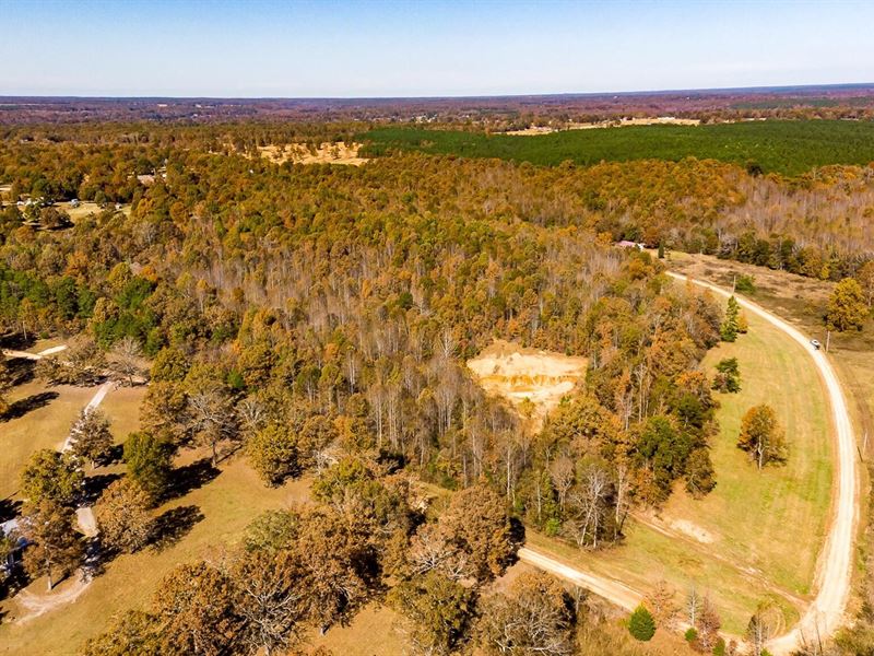 Great Investment, Land Southern Farm for Sale in Iron City, Wayne