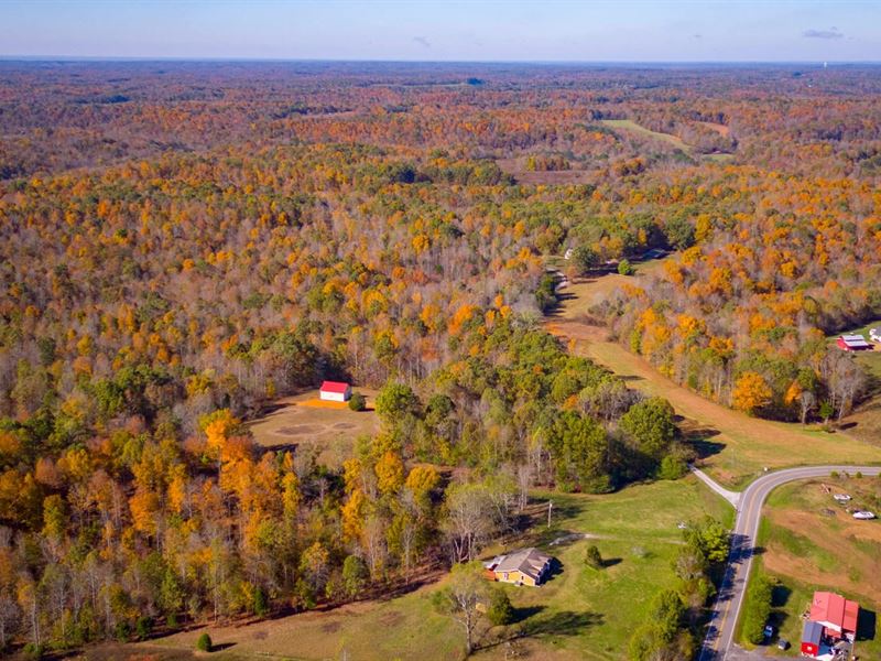 16 Acres Primm Springs Tennessee, Farm for Sale in Tennessee, 223029