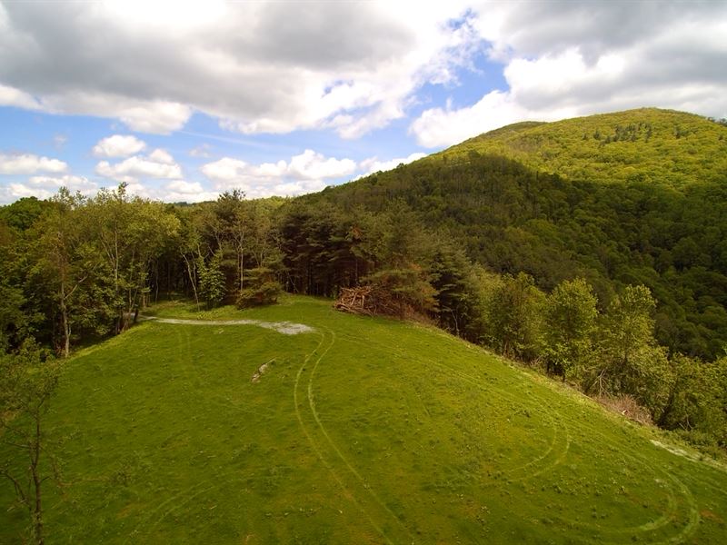 Acreage, Great Access and Views : Independence : Grayson County : Virginia