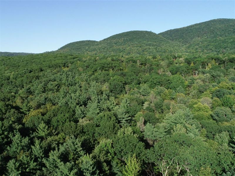 Middle Plains Forest, Farm for Sale in Vermont, 223078 FARMFLIP