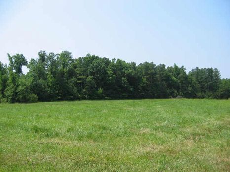 Old Farmhouse Site : Siler City : Chatham County : North Carolina