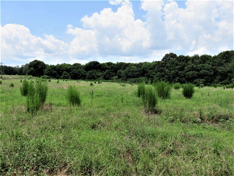 Dunaway Family Farm, Parcel A Farm for Sale in Newberry, Newberry