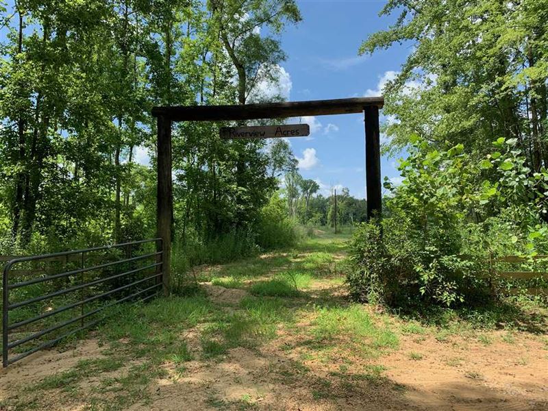 40 Acres on Black Warrior River CA, Farm for Sale in Alabama, 223413