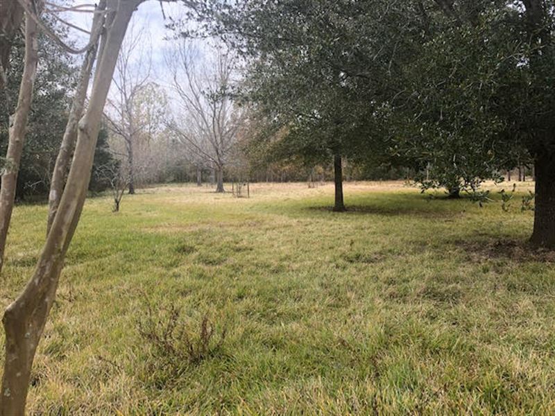Great Hunting Camp, Farm for Sale in Mississippi, 223585 FARMFLIP