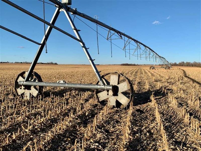 Irrigated Crop Land for Sale in Pr, Farm for Sale in Kansas, 223608