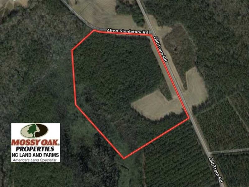 40 Acres of Farm, Farm for Sale in North Carolina, 223629 FARMFLIP