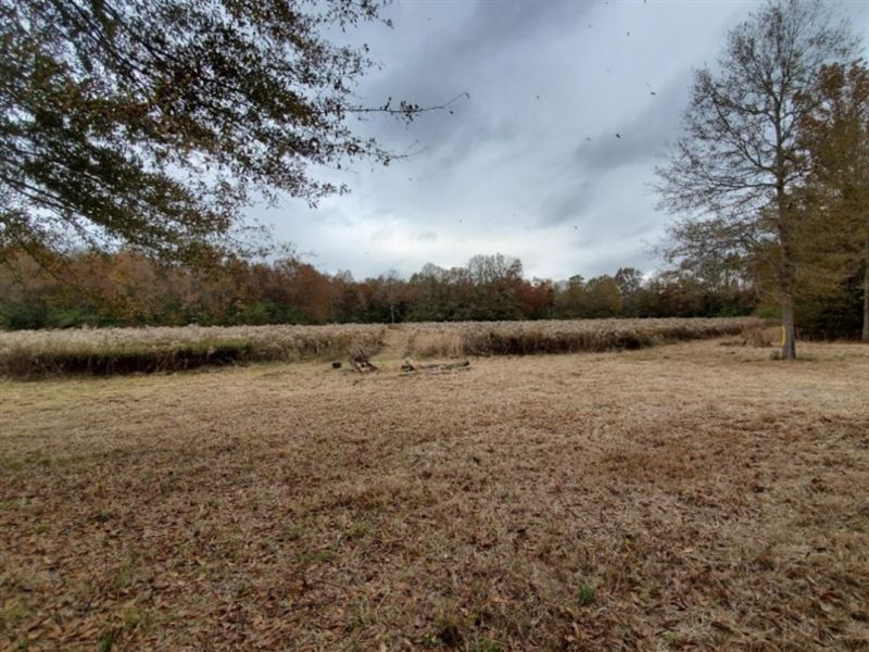 22.5 Acres In Pike County At 1121 Farm for Sale in Pike County, Mississippi 223638