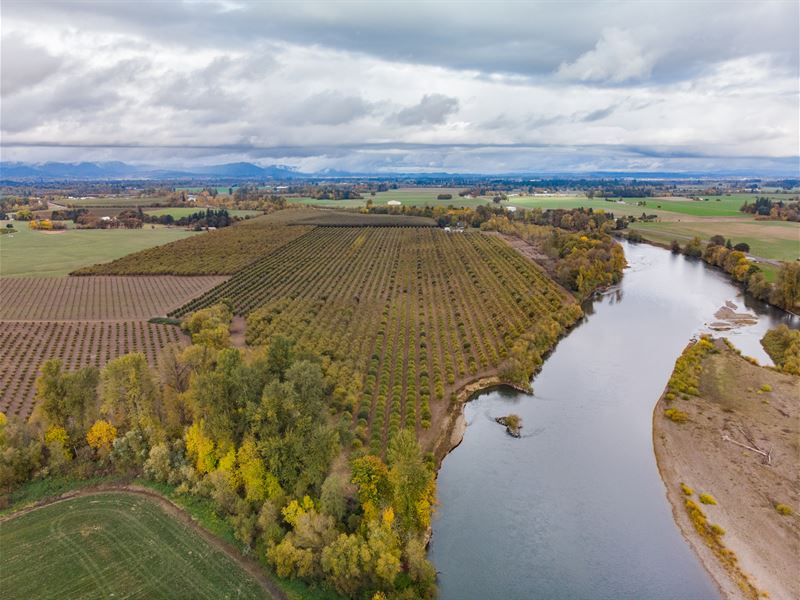 Oregon Hazelnut Farm + Water Rights : Corvallis : Benton County : Oregon