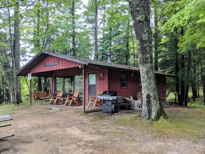 Little Manistee River 39 Ac, Cabin Farm for Sale in Manistee, Manistee County, Michigan