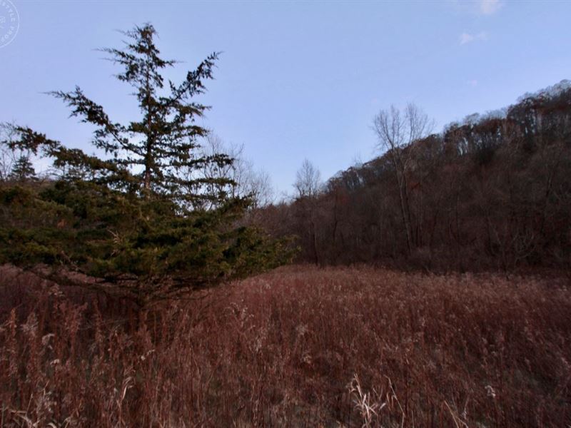 Hunting Land Trout Stream Southwest, Farm for Sale in Wisconsin, 223878 FARMFLIP