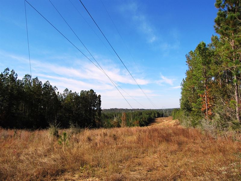 Whitehouse Creek Tract : Spanish Fort : Baldwin County : Alabama