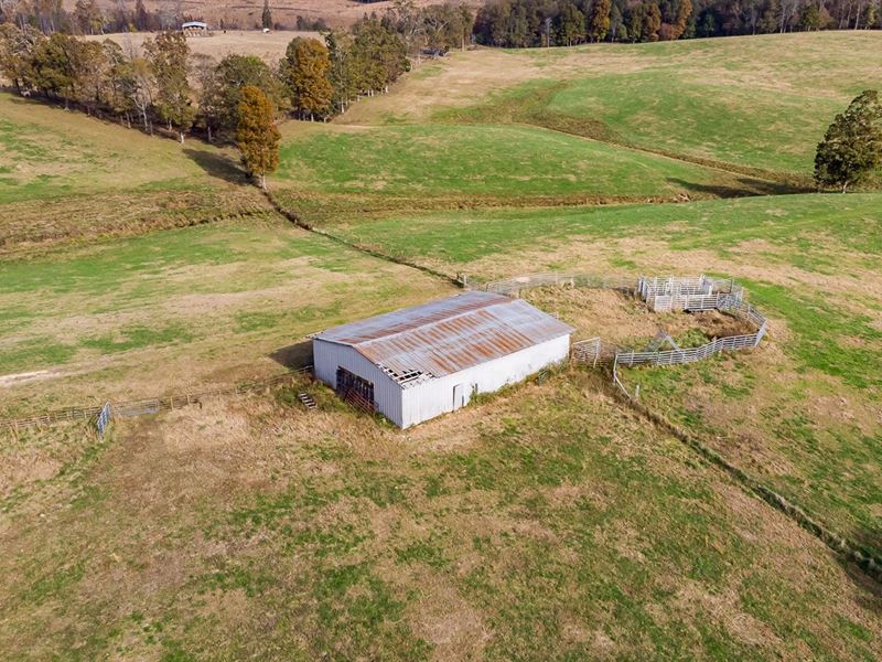 160 Acres Beautiful Hunting Tract, Farm for Sale in Tennessee, 224047