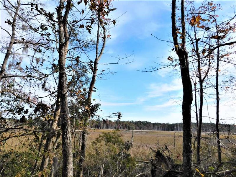 Price Reduced, Motivated Seller, Farm for Sale in South Carolina