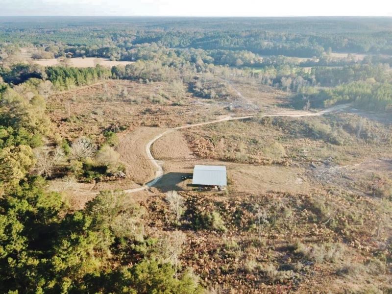 Hunting Land For Sale Sandy Hook Farm for Sale in Sandy Hook, Marion