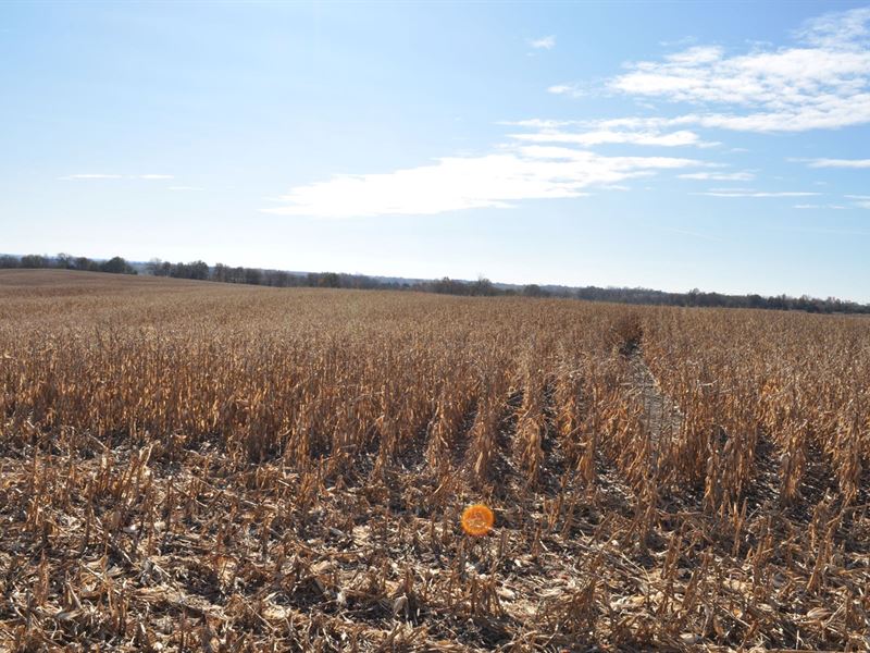 High Tillable 40 Acre Row Crop Farm, Farm for Sale in Missouri, 224175