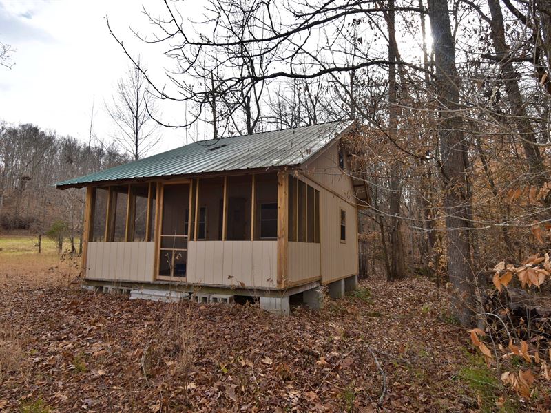 Hunting Property, Cabin 145 Acres, Farm for Sale in Tennessee, 224294