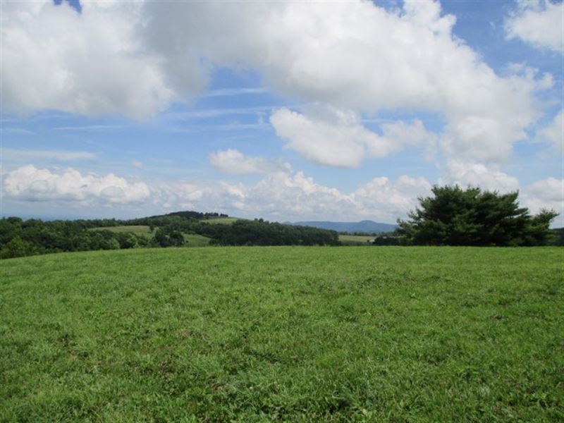 21 Acres Land Sell Patrick County : Meadows Of Dan : Patrick County : Virginia