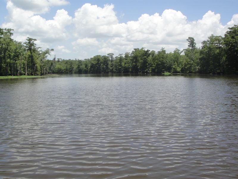 Waterfront Hunter Fisherman's Farm for Sale in Killian, Livingston