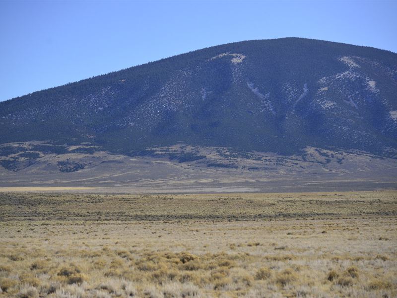 Private 5 Acres on The Nm/Co Border : San Luis : Costilla County : Colorado