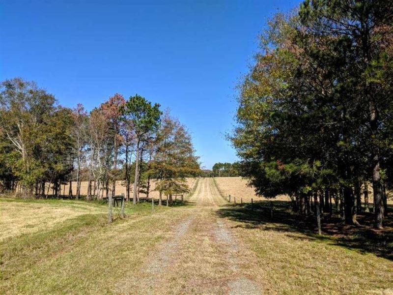Cattle Farm, Hunting, and Pecans, Farm for Sale in 224350 FARMFLIP