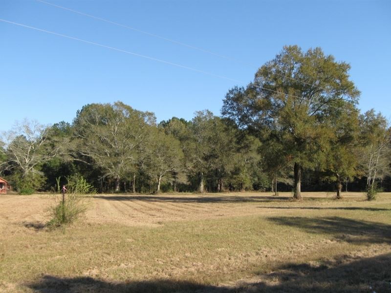 15, 83 Acres Hwy 27 South : Tylertown : Walthall County : Mississippi