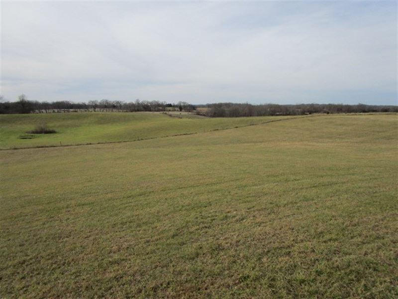 Beautiful Rolling Kentucky Farmland, Farm for Sale in Kentucky, 224833 FARMFLIP