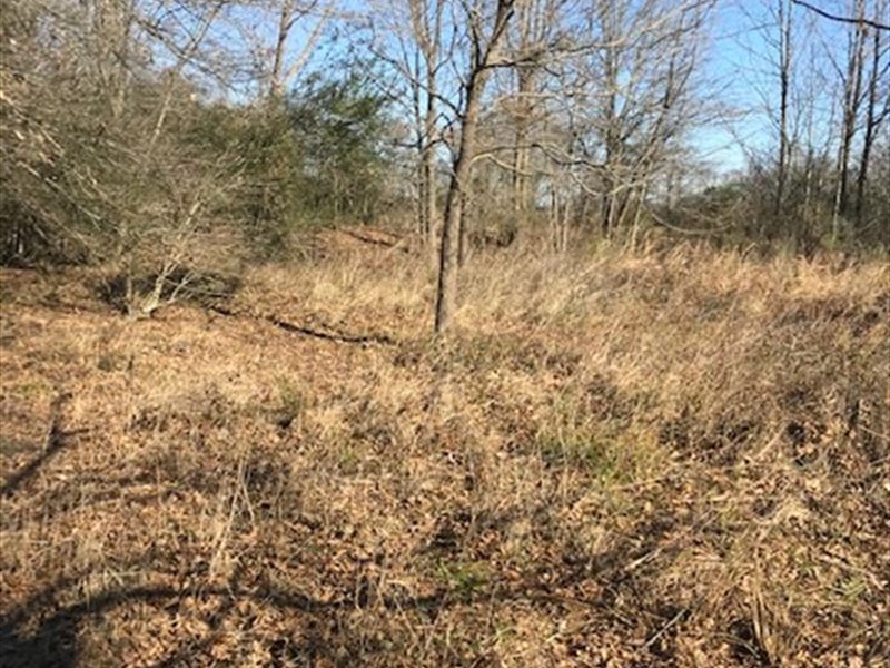 12 Ac Rec Tract Prairie County, AR, Farm for Sale in Arkansas, 225014