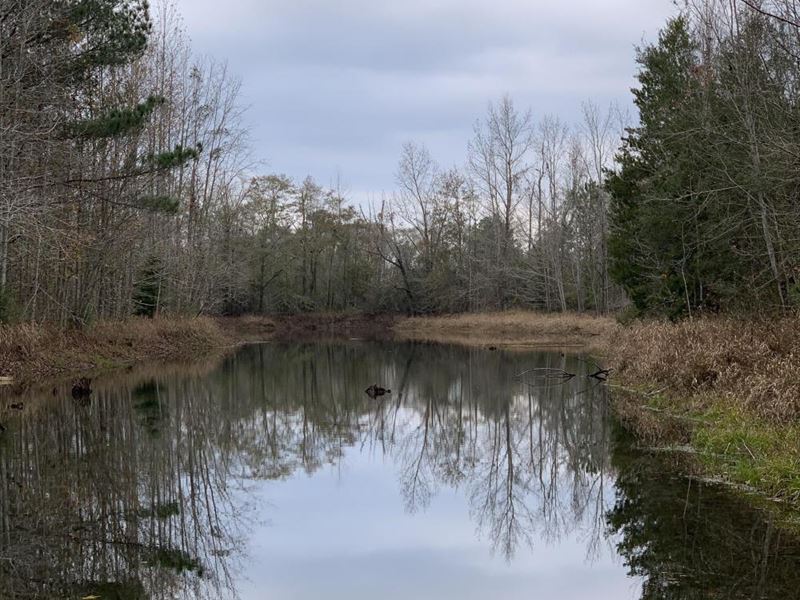 Limestone Creek Timber, Hunting Farm for Sale in Westville, Walton