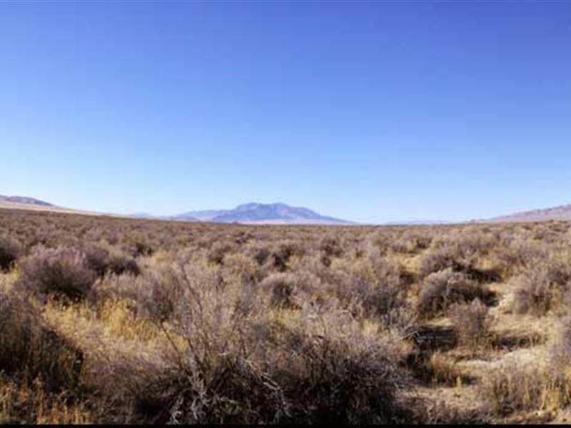 Rural Lifestyle Ranch / Farm Land Farm for Sale by Owner in