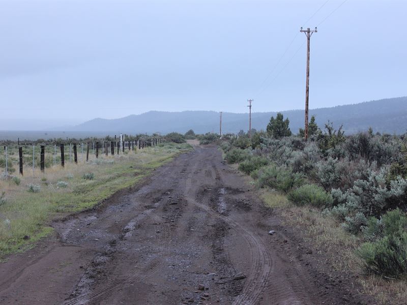 Fantastic Parcel, Power, 426/Month Farm for Sale by Owner in Termo