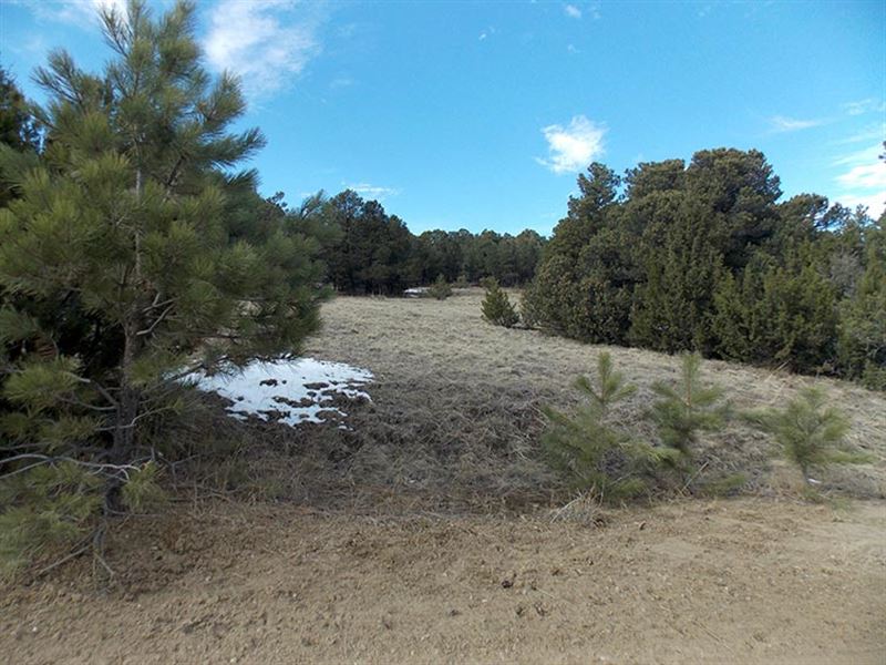 Gardner Family Ranch for Sale : Walsenburg : Huerfano County : Colorado