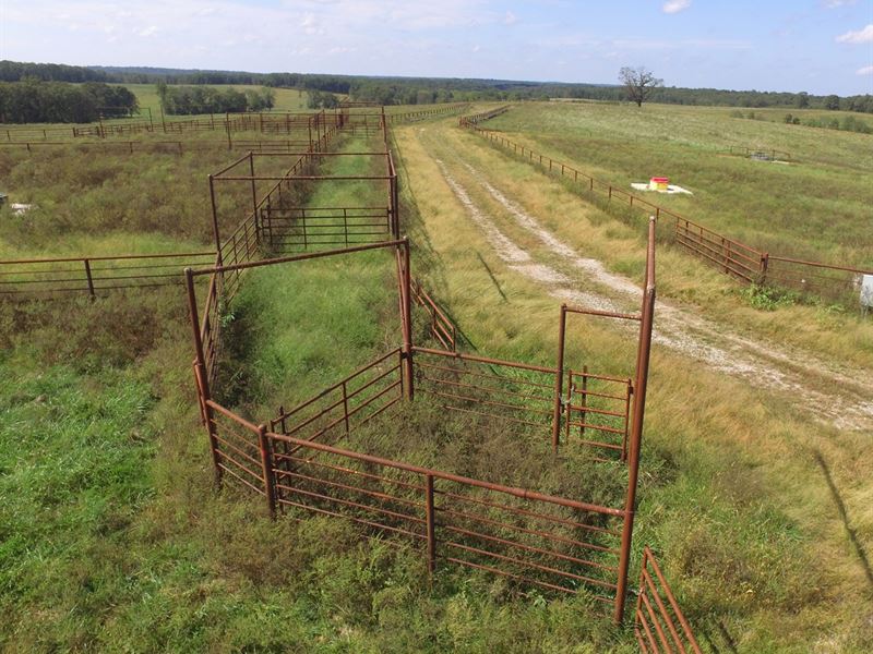 1000 Acre Cattle Ranch/Hunting, Farm for Sale in Missouri, 225312